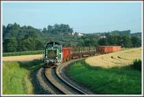 1100.1 der GKB als G 71382 auf der Fahrt von Frauental nach Preding, wo sie weitere Leerwagen nach Graz mitnehmen wird. Das Foto entstand am 10.7.2006 zwischen Wettmansttten und Preding.