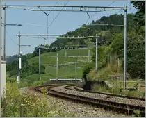 Ein Flirt...
18. Juli 2012