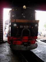 Ein sch�ner R�cken kann auch entz�cken. R�ckansicht von 99 1608 im Radebeuler Lokschuppen, 08.07.06