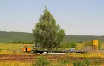 Das ASF 6 vom Stahlwerk Thüringen, am 15.08.2012 in Könitz (Thür).