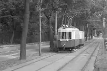 K 2319 + k5 3964 des WTM als Sonderverkehr anl��lich des Tramwaytag am 15.09.2012 kurz vor der Station Schlo� Sch�nbrunn in Richtung Hietzing fahrend.