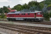132 004 der Leipziger Eisenbahngesellschaft am 01.09.2012 beim Rangieren im Bahnhof Meiningen. Sie war an diesem Tag mit einem Sonderzug des Leipziger Eisenbahnmuseums bei den XVIII. Meininger Dampfloktagen zu Besuch. Die Maschine wurde Anfang der 70-er Jahre vom Lokomotivbau Woroschilowgrad (Sowjetunion), dem heutigen Lugansk, gebaut und verf�gt �ber eine Leistung von 3000 PS. Die Loks dieser Baureihe konnten neben G�terz�gen auch f�r den Personenverkehr eingesetzt werden, da sie, im Gegensatz zu den fast baugleichen Maschinen der Baureihen 130 und 131 �ber eine elektrische Zugheizung verf�gen. Die Kraft�bertragung erfolgt diesel-elektrisch.