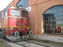 Die BR 120 274 gleich doppelt !
Am 16.09.2012 spiegelt sie sich in den gro�en Scheiben der Seitenwand des historischen Rundschuppens im BW Arnstadt, anl�sslich des Dampflokfestes, welches jedes Jahr stattfindet.
Sehr zu empfehlen: www.ebm-arnstadt.de