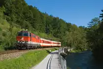 An einem hei�en Sommertag, dem 01.08.2010, rollt 2143 038 mit dem R 6793 nach St. P�lten bei Freiland flu�abw�rts.