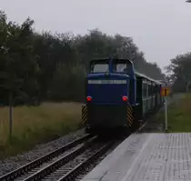 251 901 - 5 muss hier noch nichts tun , denn  gegen 13:17 Uhr ist der Zug P 104 an diesem Starkregentag noch auf dem Wege nach Lauterbach Moole.Sie l�uft am Zugschlu�.
Erst auf der  R�ckfahrt nach Puttbus wird  sie den Personenzug ziehen, da keine Rangierm�glichkeiten  in Lauterbach Moole bestehen.Aufgenommen am 30.08.12 aus einer supermodernen Wartehalle des Halterpunktes Lauterbach, der vom Raseneden Roland nicht bedient wird. Abder die Bildqualit�t ....., der Camcorder hat hier doch Probleme und er hat keie Sonnen, oder besser Regenblende, st�ndiges Beschlagen der Linse. Ablehnung ??