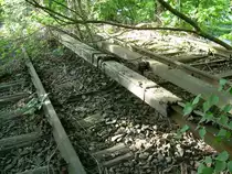 Juni 2008. Berlin, S-Bahn nach Gartenfeld. Stromschiene mit Holz- und Kunststoff-Abdeckung.