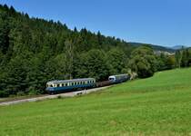 VT07 + VS28 als Wanderbahn von Viechtach nach Gotteszell am 19.08.2012 unterwegs bei Osterbr�nnl.