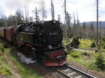 Die BR 99 7238-1 der Harzer Schmalspurbahnen (HSB) am 06.06.2006 um 14:01 Uhr zwischen Schirke und Brocken. (Zug f�hrt Richtung Brocken)