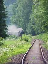 Dampfbahn Fr�nkische Schweiz am 25. Juni 2006. Die 64491 auf ihrem Weg von Behringersm�hle nach Ebermannstadt kurz vor Muggendorf.