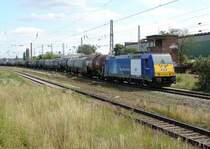 NOB (Connex) 146 519-4 macht sich auf dem Weg zum Rostocker Seehafen. Aufgenommen am 14.7.06 in G�strow