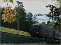 H e r b s t . . .
(beim Ch�teau de Chillon, den 28. Sept. 2012) 