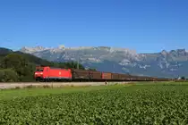 Die DB 185 100-5 zieht am 18.08.12 einen h-Wagen Ganzzug von Buchs S.G. in Richtung Sargans, festgehalten bei Sevelen.
