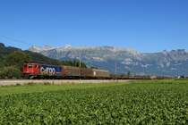 SBB Cargo Ae 6/6 610 496-2 zieht am 18.08.12 einen gemischten G�terzug in Sevelen vorbei.
