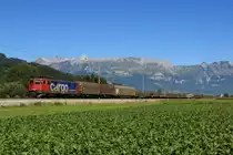 SBB Cargo Ae 6/6 610 496-2 zieht am 18.08.12 einen gemischten G�terzug in Sevelen vorbei.
