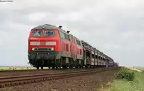 218 319-2 und 311-9 mit dem AS 1434 (Nieb�ll-Westerland) auf dem Hindenburgdamm 7.8.12
