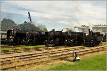 Parade-Fotoauftellung der CSD 475.101, 555.3008, 52.100, 433.001, 97.208 vor dem Heizhaus Strasshof, 22.9.2012