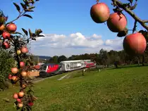 GKB  Plan B  218 256 bei Leibenfelder H�he kurz vor Deutschlandsberg mit Apfelb�ume.
14.10.2011.