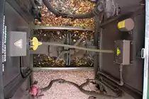 Kraft-Strom-Luft und Dampf�bertragung ok. am 07.10.2012 beim L�nitzdackel gegen 10:59 Uhr auf der Fahrt nach Radeburg.