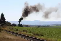 Mit weit sichtbarer Rauchfahne arbeitet sich die 52.100 des 1.�SEK mit dem  NostalgieExpress Leiser Berge  am 06.10.2012 die Steigung vor der Hst. Mollmannsdorf empor.
