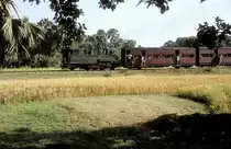   AK 15  Kurmadanga  04.11.93