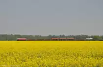 107 018 mit Fotog�terzug am 01.05.2012 bei Naunhof