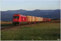 2016 060 zieht einen Holzzug von Knittelfeld nach P�ls. 
Fohnsdorf 8.10.2012