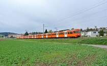 Abschiedsfahrt der zweiteiligen Mandarinli: Im Bild ist der Fotoextrazug, bestehend aus den Be 4/8 43, 45 und 42, zwischen Lohn-L�terkofen und der ehem. Haltestelle Ammannsegg. Im Jahre 2013 werden die n�chsten Z�ge dieses Typs ausrangiert, ab dann verkehren nur noch die dreiteiligen, 14.10.2012.