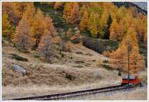 Die sch�nste Jahreszeit im Engadin beginnt mit dem Verf�rben der L�rchenw�lder. Abstellgleis mit Prellbock und Schneestange in Bernina Suot. (11.10.2012)