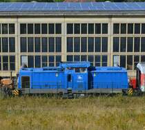 293 021-6 der Press in Espenhain 18.08.2012