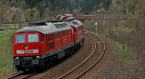 G�terverkehr im oberen Vogtland: 232 254 und 232 255 mit EZ95515 Engelsdorf - Nymburk (Elbtalumleiter) zwischen Hundsgr�n und Adorf bei Leubetha, 21.04.2012.