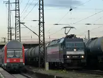 185 566 der MRCE CFL Cargo schiebt sich mit ihrem Kesselwagenzug zwischen die wartende Regionalbahn.
Dresden Friedrichstadt 17.10.12 
