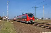 442 123/623 & 442 119/619  Potsdam Park Sanssouci  als RB21 (RB 18669) von Wustermark nach Potsdam Griebnitzsee in Satzkorn. Sehr netten Gru� an den Tf! 19.10.2012