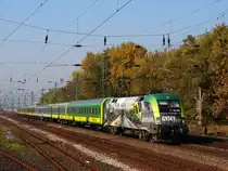 Endlich geschafft, ein Bild in einem guten Licht zu nehmen! Neueste GySEV Werbelok wirbt 140 Jahre Raaberbahn. Das Bild zeigt kurz nach Kom�rom mit 9207.
470 504  21.10.2012.