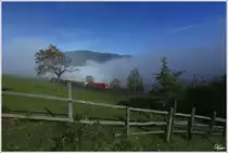 Herbst am Zauberberg - Eine 1016 zieht einen Innofreight Hackschnitzelzug �ber die Apfelwiese nahe Eichberg.
18.10.2012