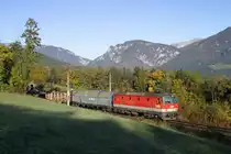 Am Morgen des 21.10.12, einen herrlichen Herbsttag, f�hrt 1144.109 mit G-54703 bei Eichberg bergw�rts.