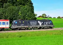 �sterreichische Werbelok - Cats Taurus, Haslach bei Traunstein am 25.09.2012.
Als Werbetr�ger f�r das in Wien stattfindende Musical wurde die 1116-153 der Taurus Familie ausgew�hlt.