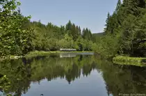 VT07 + VS28 am 26.05.2012 bei Asbach