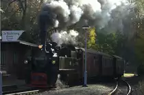 Trotz der schon h�her stehende Sonne h�lt sich Fr�hdunst im Selketal.
Hier f�hrt  99 5906 - 5 mit einem kurzen , selektaltypischen Personenzug in den Haltepunkt Stra�berg ein. 19.10.2012 gegen 10:03 Uhr