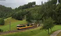  AVG 918 und 919 als DPE 91443 (Karlsruhe Hbf-Konstanz) bei Nu�bach 25.8.12