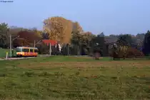 AVG TW 819 als S31 von Odenheim nach Baden-Baden. Aufgenommen am 24.10.2012 bei Odenheim.