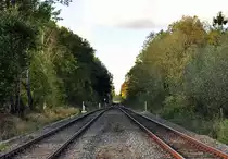  Wiedervereinigung , oder aus 2 macht 1 - auf der Strecke Euskirchen - Bonn bei Kottenforst - 15.10.2012