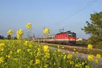 Im Abendlicht f�hrt 1144.240 mit EC-159 kurz vor Wr.Neustadt s�dw�rts. 25.10.12