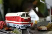 119 060-2 auf der Anlage in Zeulenroda. Foto 20.10.12