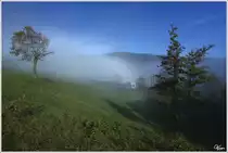 Durch den Morgennebel f�hrt 4020 203 als R 2956 von Semmering nach Payerbach-Reichenau. 
Eichberg 18.10.2012