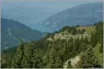 Kleine Bahn in einer grandiosen Landschaft: Ein SPB-Zug auf halber Distanz zwischen Schynige Platte und Breitlauenen.
10. Sept. 2012
