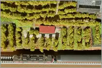 Ein  Luftbild  auf meinen mini-club-Weinberg.
30. Okt. 2012