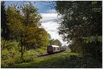 RÜBE 59087 am 31.10.2012 nahe Eschlried.