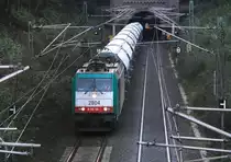 Die Cobra 2804 kommt aus dem Gemmenicher-Tunnel mit einem Kalkzug aus Hermalle-Huy(B) nach Oberhausen und f�hrt die Gemmenicher-Rampe herunter nach Aachen-West bei sch�nem Herbstwetter.
Aufgenommen bei Reinartzkehl am 31.10.2012. 
