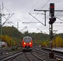 Sehr freundlich Gr��t mich der Aachener Lokf�hrer Georg mit dem Fernlicht, der hier 442 254 und 442 255 (Zwei gekuppelte 4-teilige Talent 2) als RE 10913 bzw. RE 9 - Rhein Sieg Express (RSX) Aachen - K�ln - Siegen, am 03.11.2012 um 13:36 Uhr (bei Nieselregen) in den Bahnhof Betzdorf/Sieg steuert. Ich hoffe mein Gru�zeichen ist auch angekommen.
