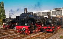 Dampflokparade im Museums-Bw Neustadt an der Weinstra�e. (25.09.2009)